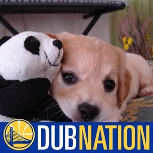 Meet your Posher, Dave